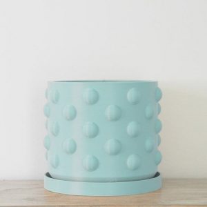 The Dot Pot Teal Delight for Your Home Decor