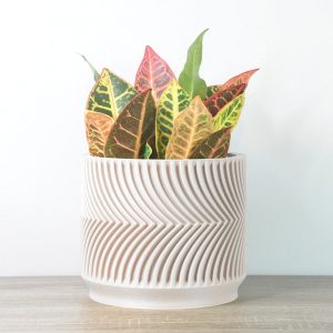 The Parisian Planter A Touch of French Elegance for Your Home