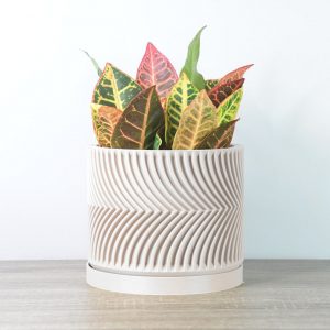 The Parisian Planter A Touch of French Elegance for Your Home