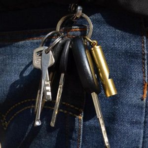 The Ultimate Survival Whistle Earsplitting Brass, Unwavering Reliability, Lifetime Guarantee