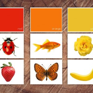 Toddler’s Delight Color Sorting Cards for Preschool Learning and Sensory Exploration