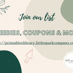 Toddler’s Delight Color Sorting Cards for Preschool Learning and Sensory Exploration