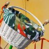 Tropical Bicycle Basket A Vibrant Oasis for Your Ride
