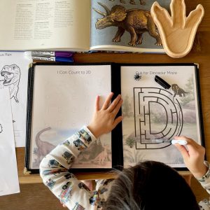 Ultimate Dinosaur Activity Extravaganza Printable Fun for Young Explorers