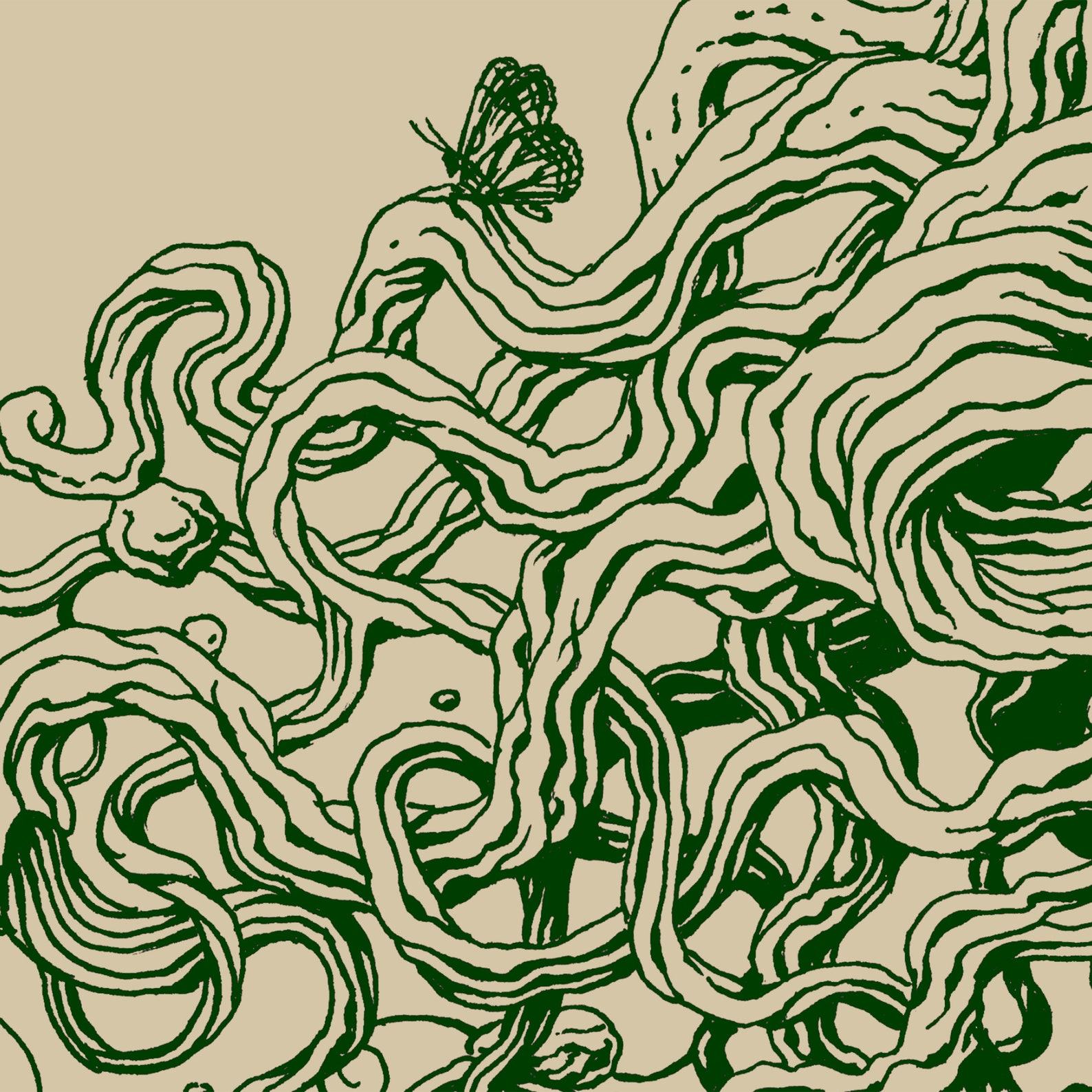 Unleash the Spirit of Nature Gnarled Tree Tshirt – A Symbol of Life and Strength