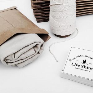 Unveiling the Anatomy of the Great White A Marine Biology Masterpiece on a T-shirt