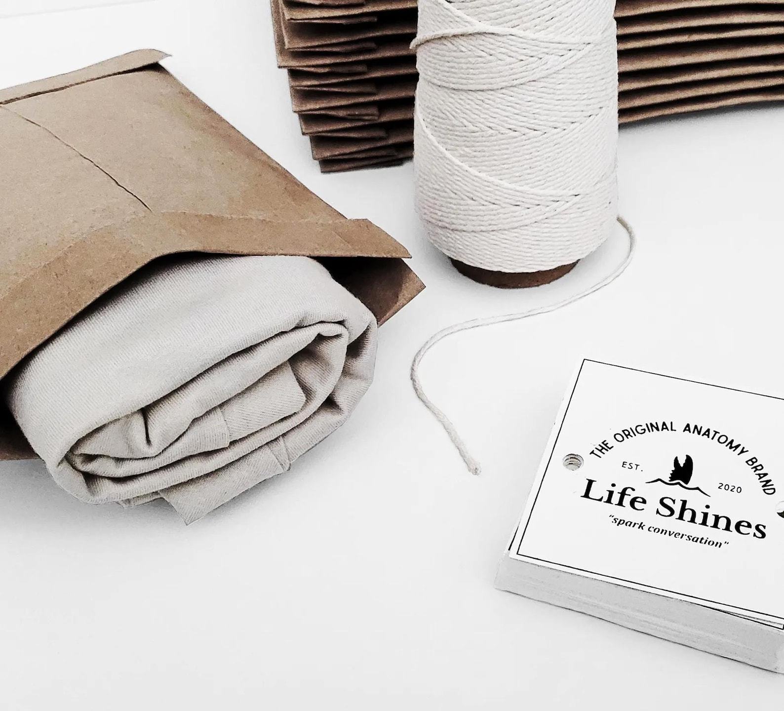 Unveiling the Anatomy of the Great White A Marine Biology Masterpiece on a T-shirt - Image 5