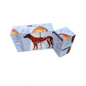 Vetmed Anatomy Study Cube Master Canine Anatomy for VTNE and Vet Tech Success