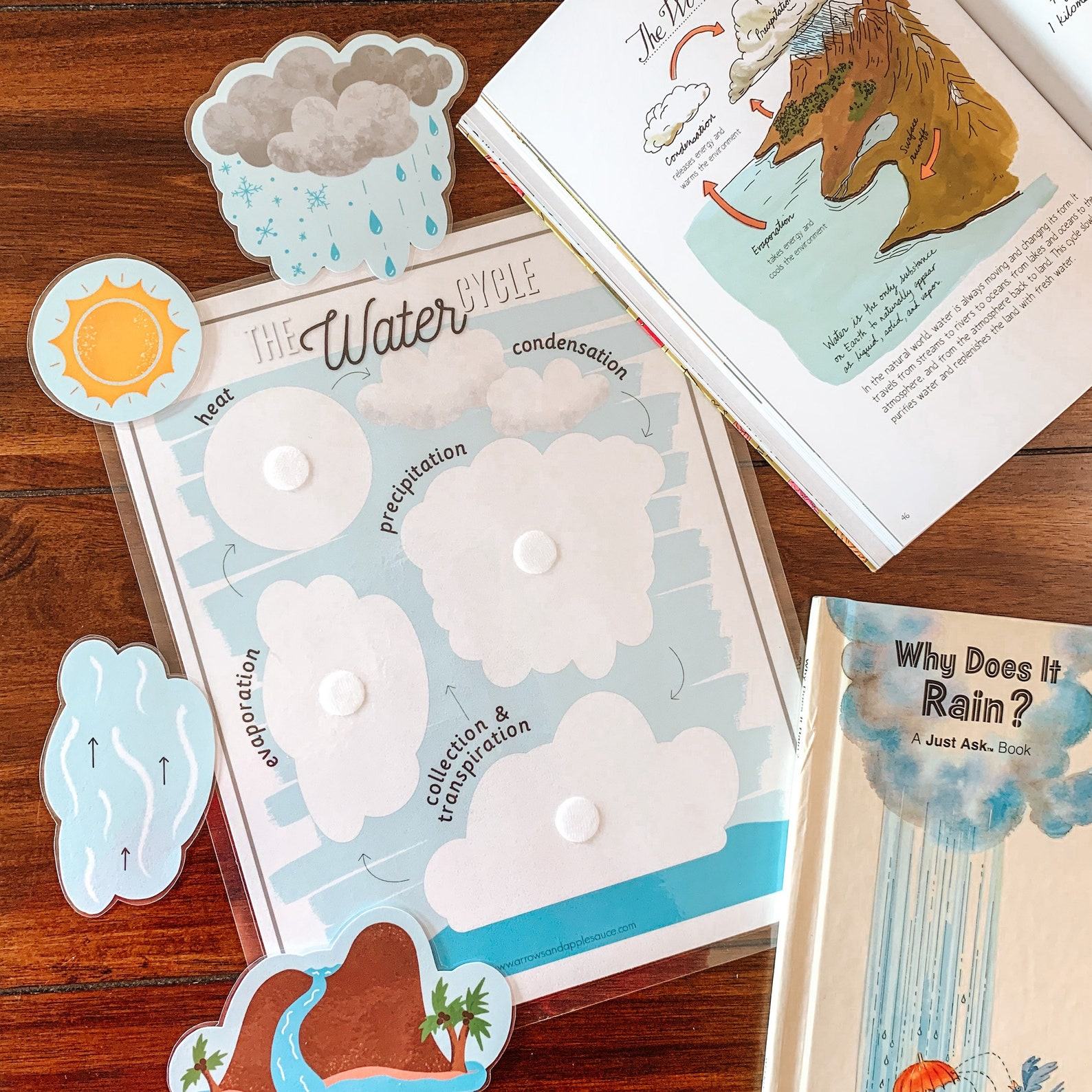Water Cycle Adventure A Printable Nature Study for Young Explorers