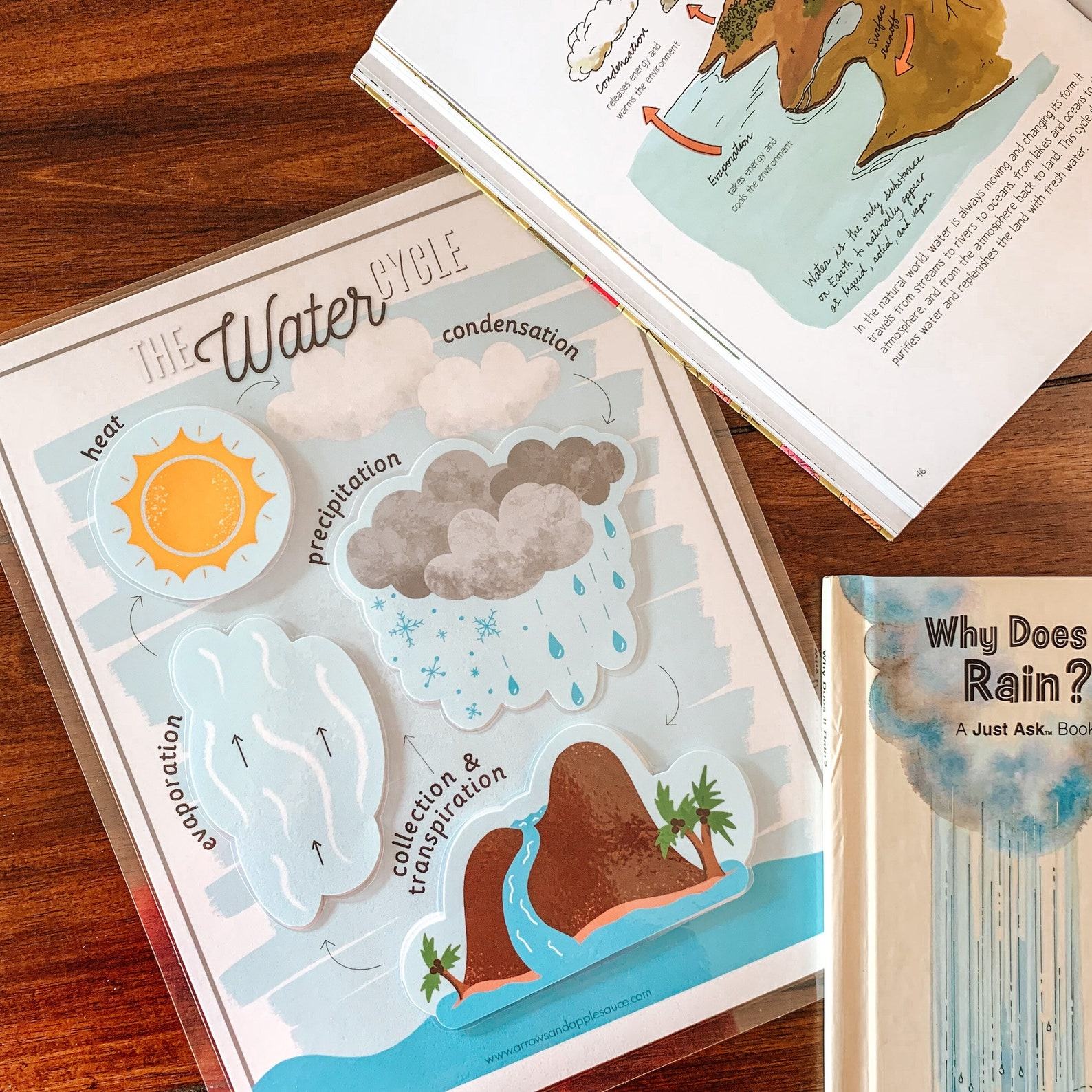 Water Cycle Adventure A Printable Nature Study for Young Explorers