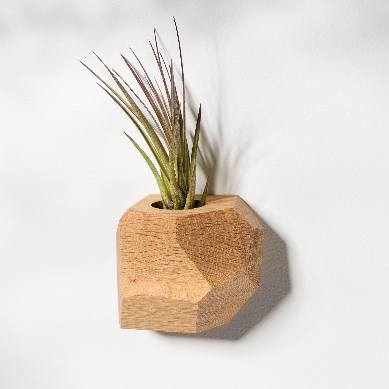 White Oak Geometric Air Plant Holder Elevate Your Home with Natural Elegance