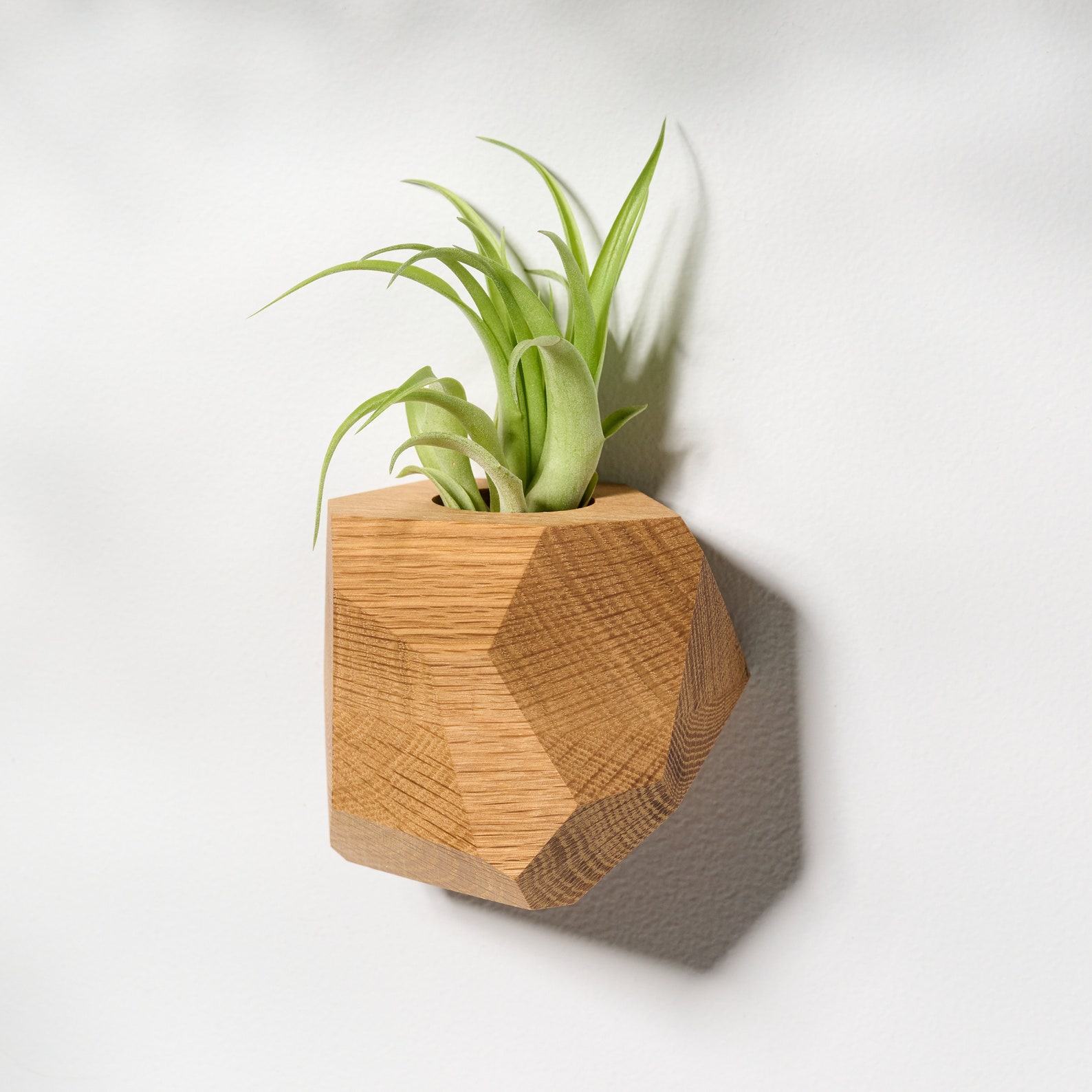 White Oak Geometric Air Plant Holder Elevate Your Home with Natural Elegance