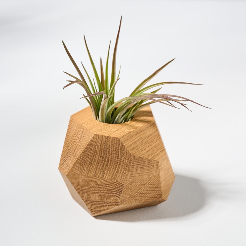 White Oak Geometric Air Plant Holder Elevate Your Home with Natural Elegance